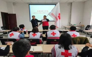 红十字工作总结7篇