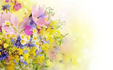 老师与花作文600字优秀5篇