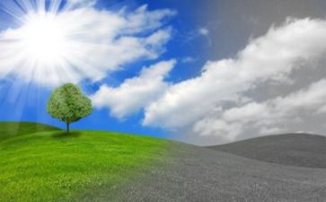 环保的调查报告精选5篇