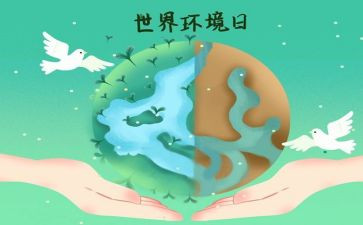 2024年生态环境日活动方案5篇