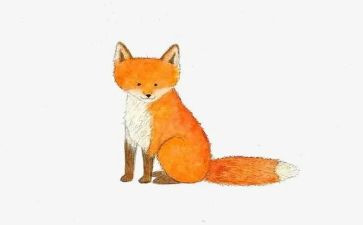 狐狸和熊读后感6篇