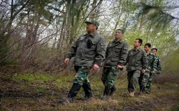 护林员年度工作总结优秀8篇