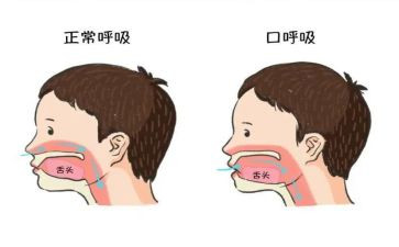 呼吸内科的述职报告7篇