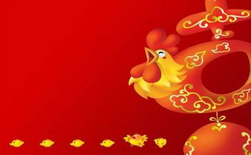 反鸡汤演讲稿最新5篇