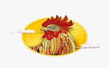 心灵鸡汤的利与弊作文优质5篇