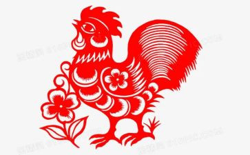 反鸡汤演讲稿7篇