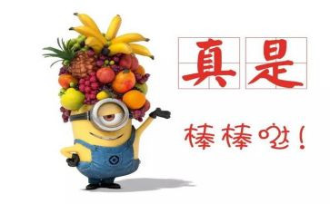 嘉奖个人主要事迹5篇