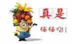 嘉奖个人主要事迹5篇