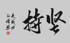 坚持的感悟作文5篇