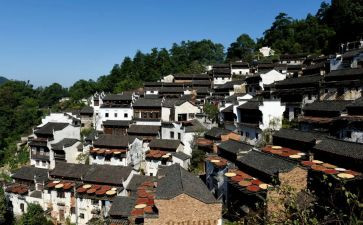 2024年江西作文7篇