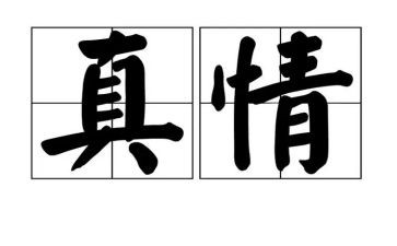 有关真情的作文优质8篇