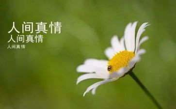 真情流露的优秀作文精选7篇