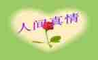 真情作文700字6篇