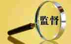 监事述职报告5篇