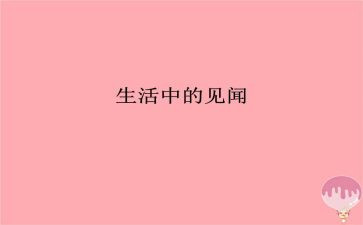 新年见闻800字作文7篇
