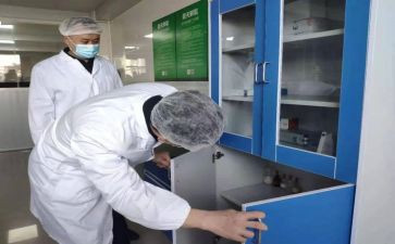 检验述职报告总结5篇