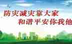 防灾减灾工作报告6篇