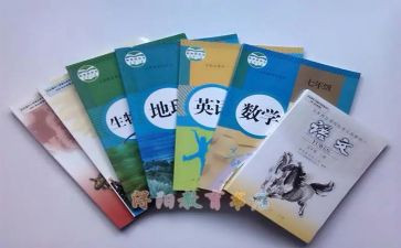 教科室的述职报告优秀6篇