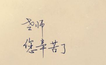 新教师终述职报告优秀5篇