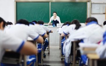 新教师的工作总结8篇