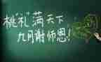 教师个人个人述职报告范文参考6篇