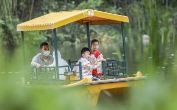 幼儿园郊游教案8篇