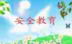 幼儿园中班安全教案5篇