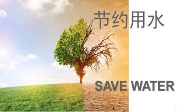 节约的事迹6篇