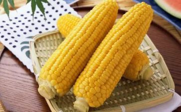 拜玉米作文作文8篇