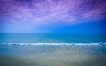 安静的作文最新8篇