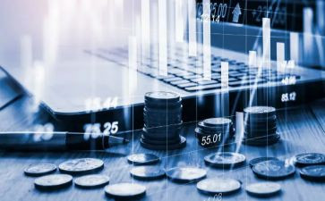 2024经济调查调查报告6篇