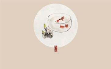 24节气活动方案7篇