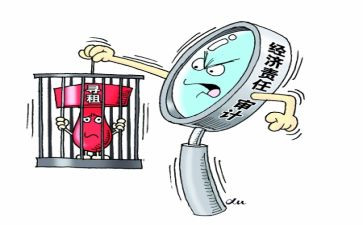 经责局长述职述报告7篇