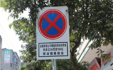 禁令心得6篇