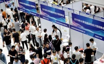 促就业活动总结7篇