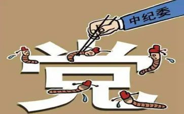 2024年镇纪委工作总结5篇