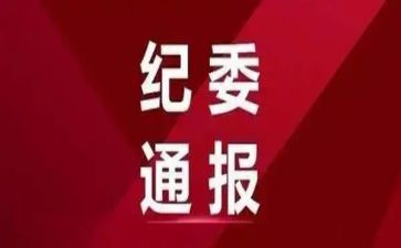 县纪委2024年工作报告8篇
