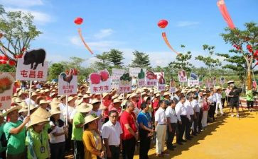 举办活动总结最新5篇