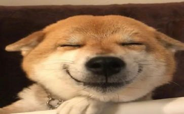 开心小作文200字7篇