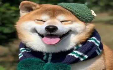 开心的作文400字最新6篇