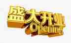 炒饭店开业活动方案5篇