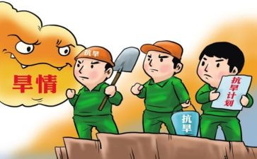 2024防汛抗旱工作总结7篇