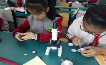 小学科学课工作总结8篇