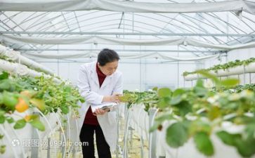 科研的心得体会最新8篇
