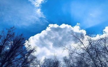 空气污染的调查报告5篇