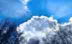 空气污染的调查报告5篇