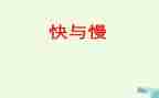 快与慢高中作文800字最新5篇