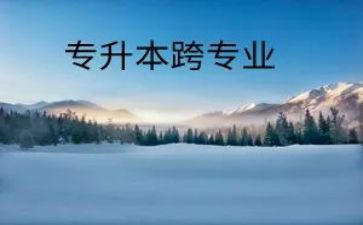 跨专业实训总结心得7篇