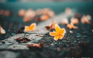 愧疚的爱作文500字作文通用8篇