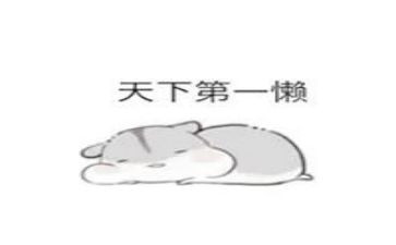 爸爸很懒的作文最新6篇